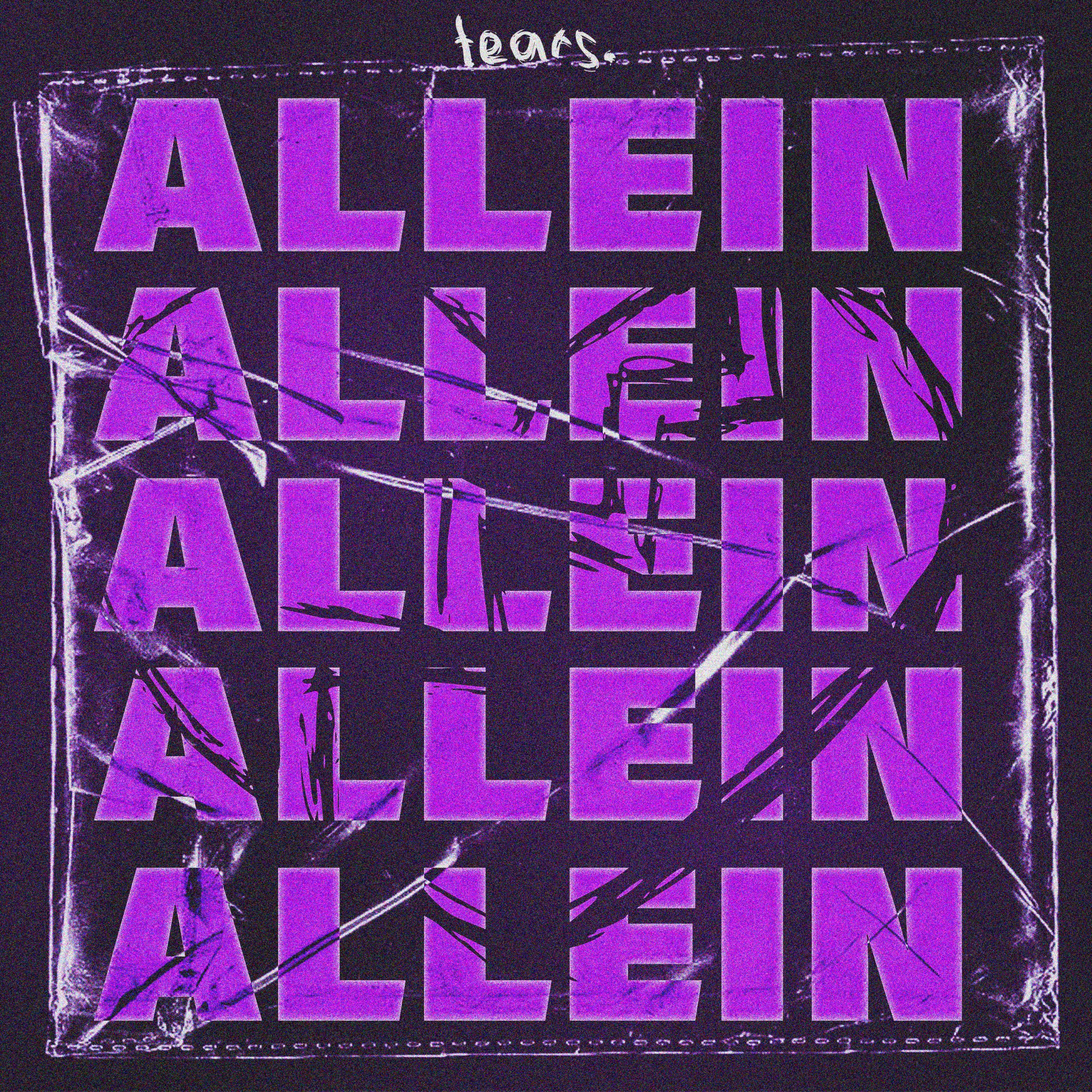 cover art with the text allein